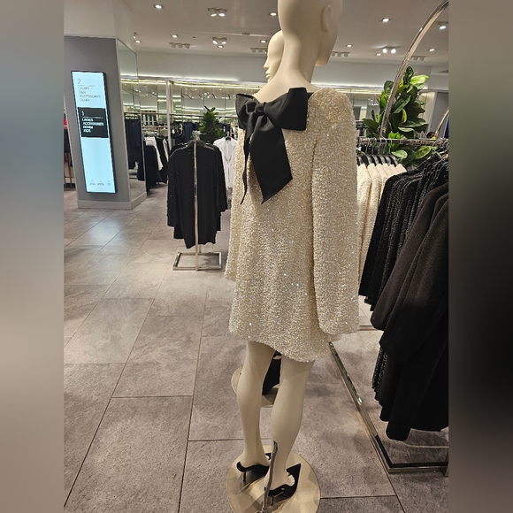 H&M sequin dress, brand new! I took the tags off but ended up not wearing it. - Picture 3 of 4